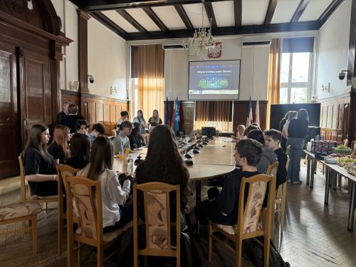 Spotkanie w sali konferencyjnej Urzędu Miejskiego w sprawie MPA
